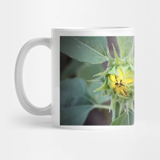 Sunflower Bud Mug